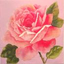 331 Roses - 3-ply (pink)